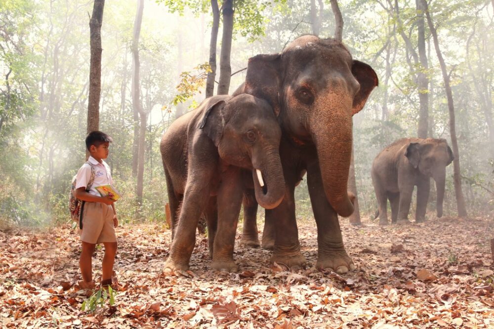 Sri Lanka voyage