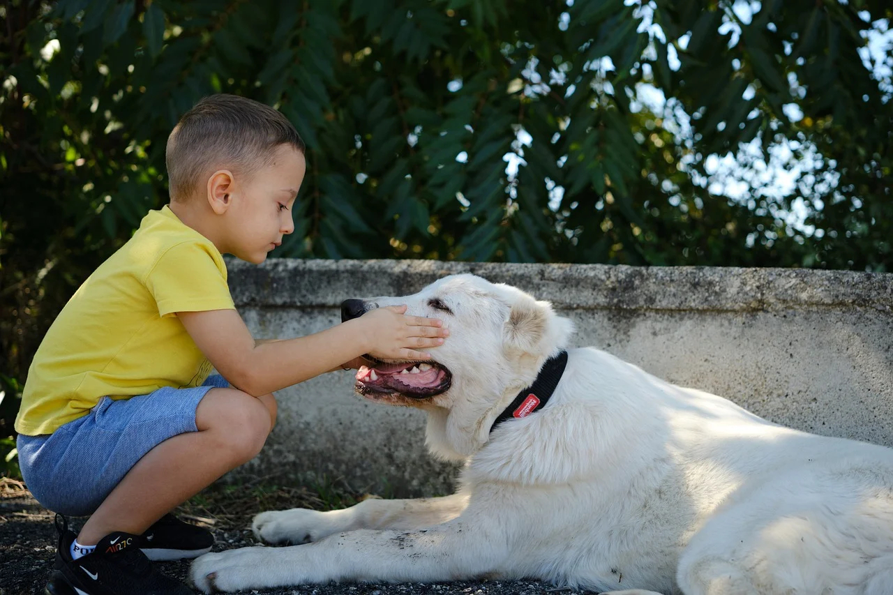 chien enfant