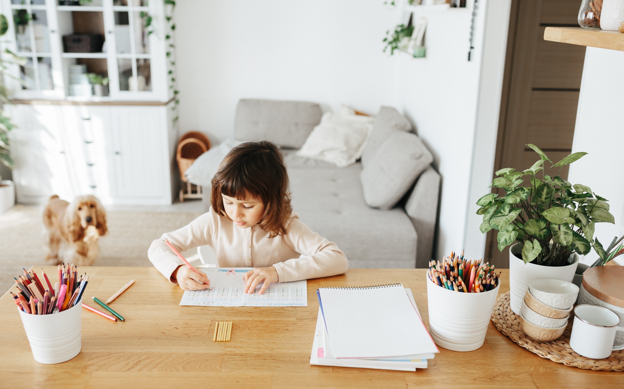 Cute preschooler girl learning home. Homeschooling, distance learning for kids.