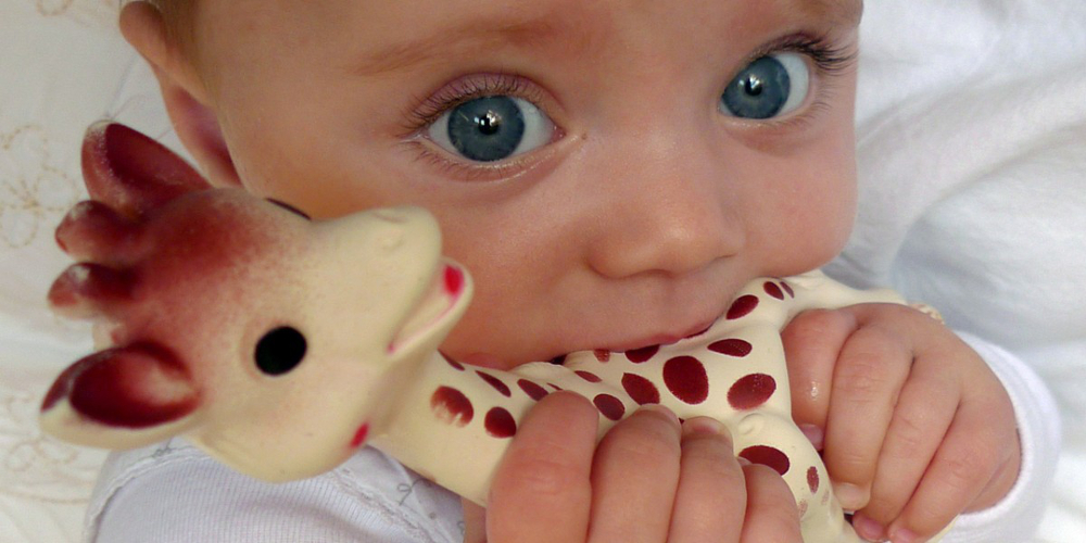 sophie la girafe